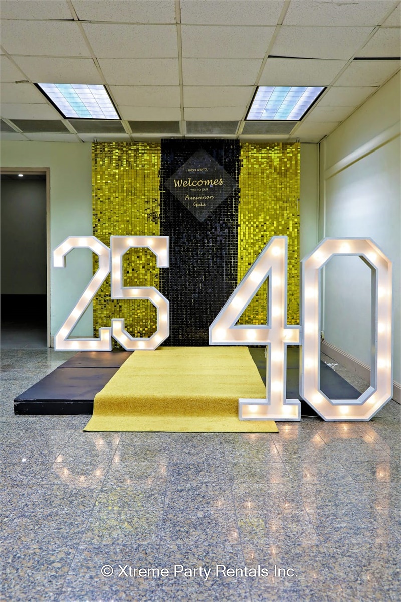 4ft x 20ft Carpet Isle Runner Gold Bouncy Castle & Party Rentals in