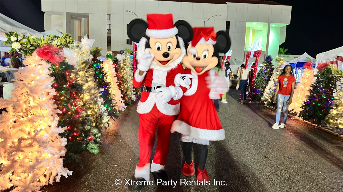 Mickey Minnie Christmas Characters Package Bouncy Castle